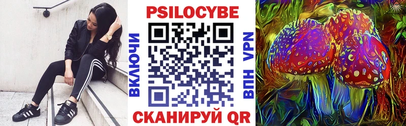 Галлюциногенные грибы Psilocybe  Семилуки 
