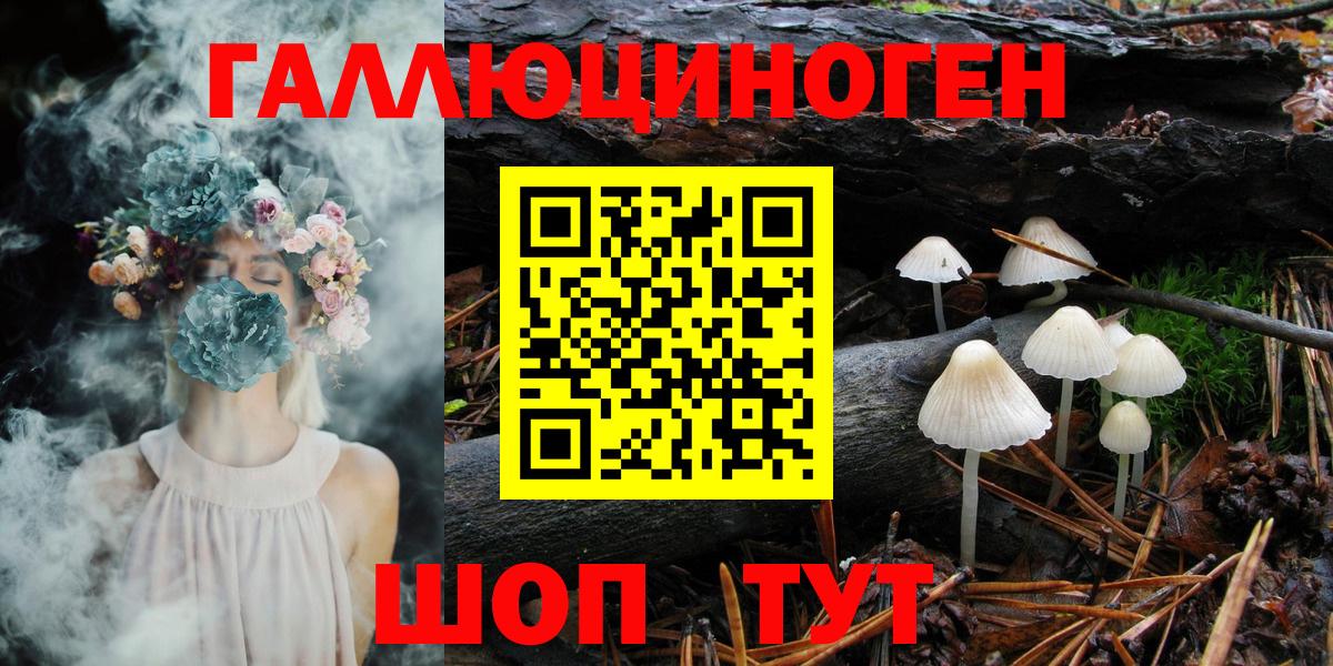Семилуки  Псилоцибиновые грибы MAGIC MUSHROOMS  Вход с VPN 