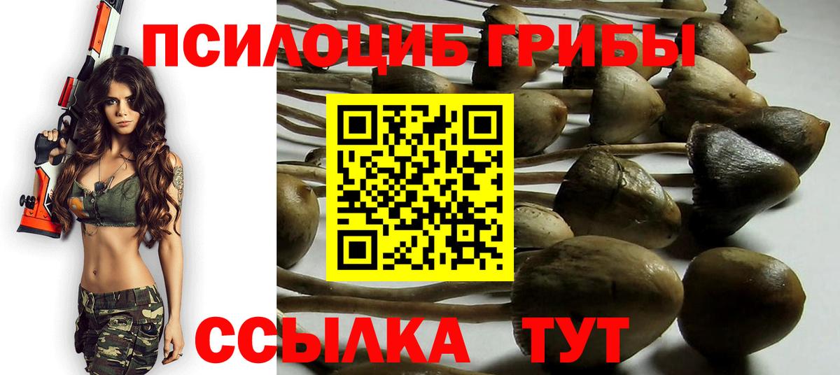 Псилоцибиновые грибы ЛСД Семилуки